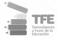 TFE TAMAULIPECOS A FAVOR DE LA EDUCACIÓN