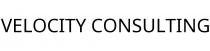VELOCITY CONSULTING