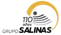 110 AÑOS GRUPO SALINAS