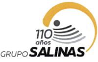 110 AÑOS GRUPO SALINAS