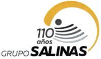 110 AÑOS GRUPO SALINAS