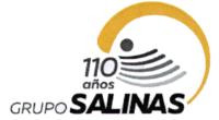 110 AÑOS GRUPO SALINAS
