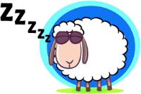ZZZZZ