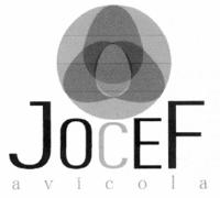 JOCEF; AVÍCOLA