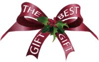 THE BEST GIFT