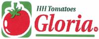 HH TOMATOES GLORIA TG
