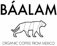 BÁALAM ORGANIC COFFEE FROM MEXICO