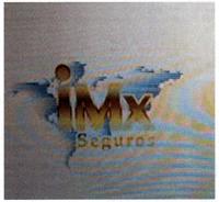 IMX SEGUROS