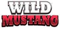 WILD MUSTANG