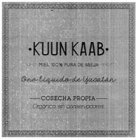 K'UUN KAAB