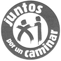 JUNTOS POR UN CAMINAR X1