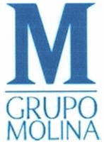 GRUPO MOLINA