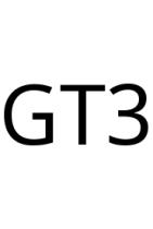 GT3