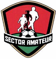 SECTOR AMATEUR