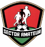 SECTOR AMATEUR