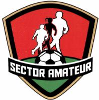 SECTOR AMATEUR