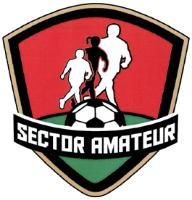 SECTOR AMATEUR