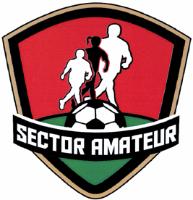 SECTOR AMATEUR