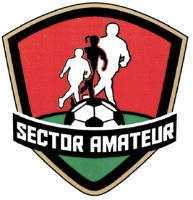 SECTOR AMATEUR