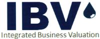 IBV INTEGRATED BUSINESS VALUATION