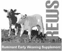 REWS RUMINANT EARLY WEANING SUPPLEMENT