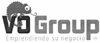 VO GROUP