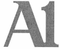 A1