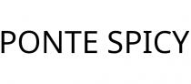 PONTE SPICY