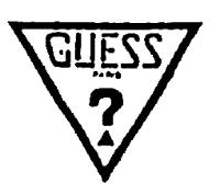GUESS PARIS ?