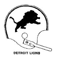 DETROIT LIONS