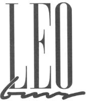 LEO BMS