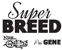 SUPER BREED NOVA GALLOS PRO GENE