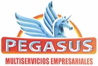 PEGASUS MULTISERVICIOS EMPRESARIALES