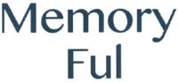 MEMORY FUL