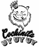 COCHINITA UYUYUY