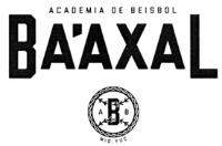 ABB ACADEMIA DE BEISBOL BA'AXAL