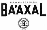 ABB ACADEMIA DE BEISBOL BA'AXAL