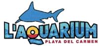 L´AQUARIUM PLAYA DEL CARMEN