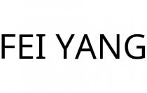 FEI YANG