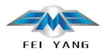 FEI YANG