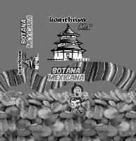 KONICHIWA MIX BOTANA MEXICANA
