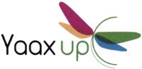 YAAX UP
