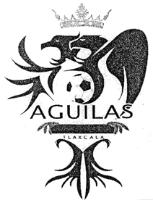 AGUILAS TLAXCALA