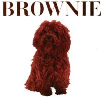 BROWNIE