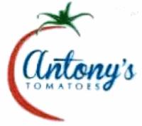 ANTONY´S TOMATOES