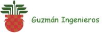 GUZMÁN INGENIEROS