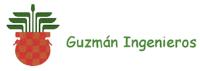 GUZMÁN INGENIEROS