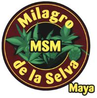 MSM MILAGRO DE LA SELVA MAYA