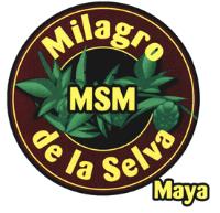 MSM MILAGRO DE LA SELVA MAYA