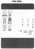 PALVEG OX/PCC NIT S.G. GLUT PH CRE C 1 2 C 1 2 C 1 2 3 1 AMP 1 BAR 1MAMP 2 COC 3 THC